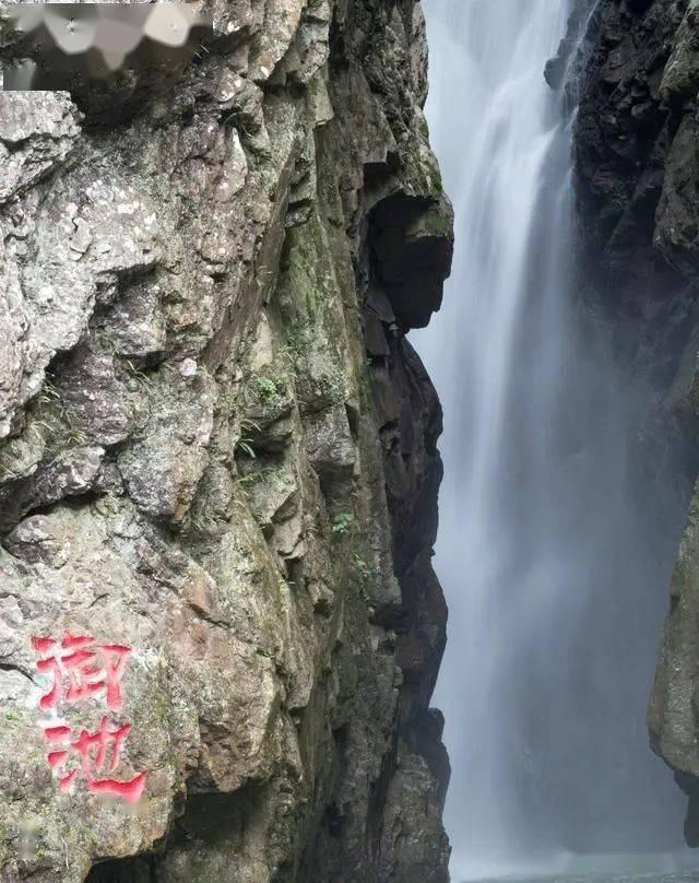 伯斯森林逃生
