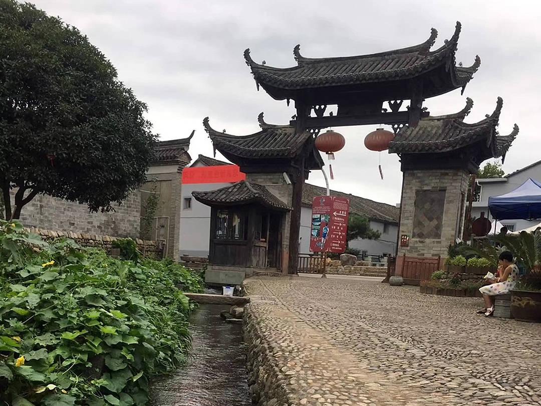 章鱼喷墨汁
